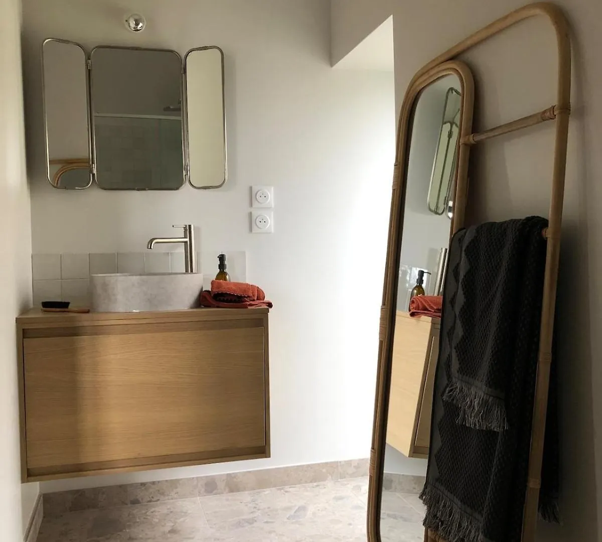 Gite Maison Appartement Thurins France