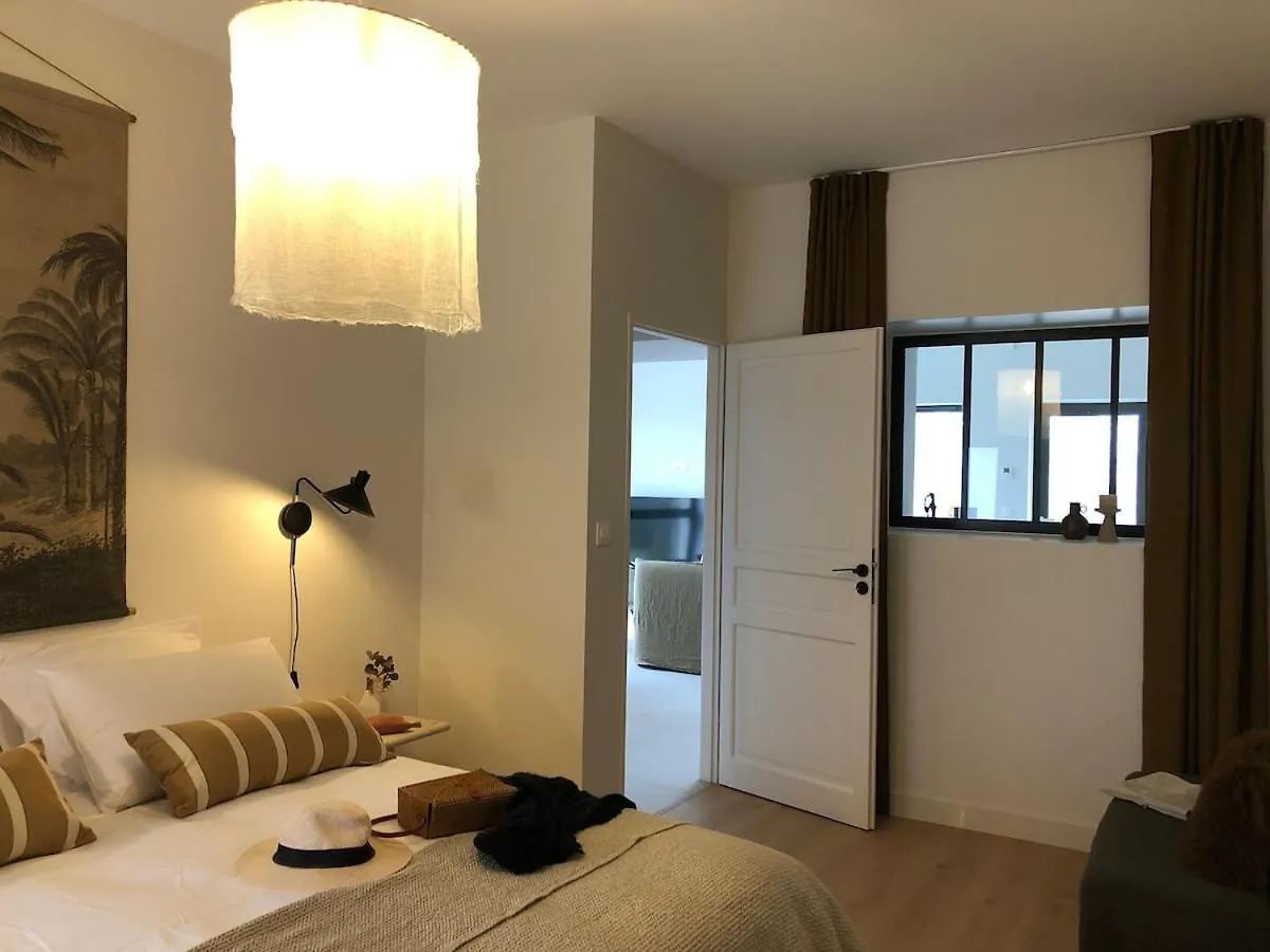 Gite Maison Appartement Thurins France
